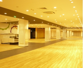 CA-Euromall-Pitesti4